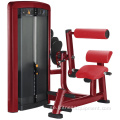 Gym Träning Fitness Pin Loaded Back Extension Machine